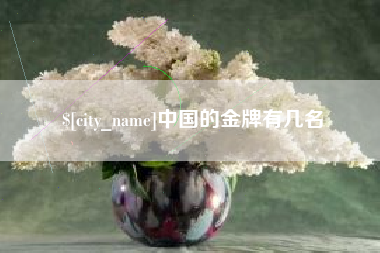 黔西南中国的金牌有几名
