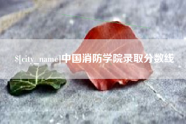 黔西南中国消防学院录取分数线