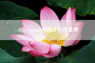 黔西南中国十九枚金牌