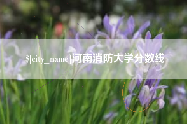 黔西南河南消防大学分数线