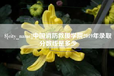 黔西南中国消防救援学院2019年录取分数线是多少