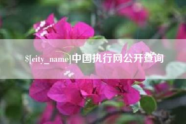 黔西南中国执行网公开查询
