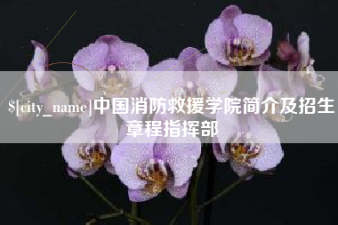 黔西南中国消防救援学院简介及招生章程指挥部