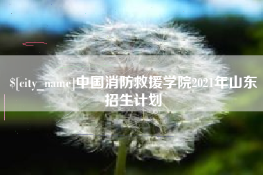 黔西南中国消防救援学院2021年山东招生计划