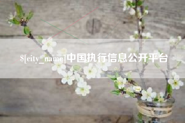 黔西南中国执行信息公开平台