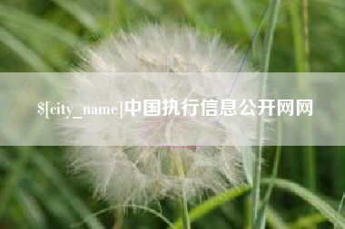 黔西南中国执行信息公开网网