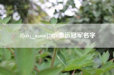 黔西南2024奥运冠军名字