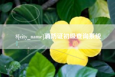 黔西南消防证初级查询系统