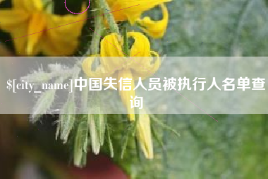 黔西南中国失信人员被执行人名单查询