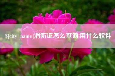黔西南消防证怎么查询,用什么软件