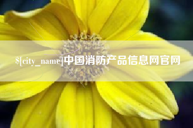 黔西南中国消防产品信息网官网