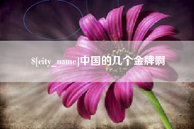 黔西南中国的几个金牌啊