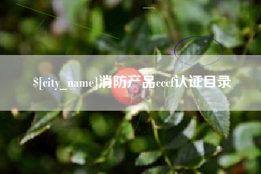 黔西南消防产品cccf认证目录