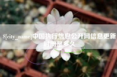 黔西南中国执行信息公开网信息更新时间是多久