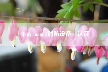 黔西南消防设备ccc认证