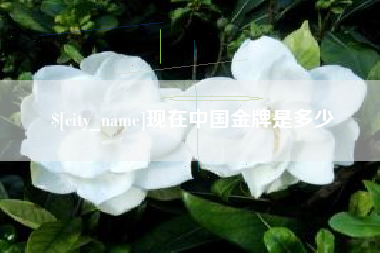 黔西南现在中国金牌是多少