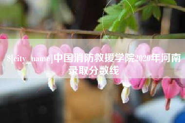 黔西南中国消防救援学院2020年河南录取分数线