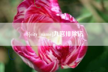 黔西南九宫排除法