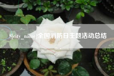 黔西南全国消防日主题活动总结