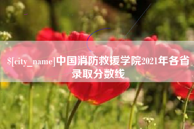 黔西南中国消防救援学院2021年各省录取分数线