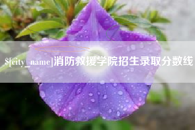 黔西南消防救援学院招生录取分数线