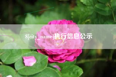 黔西南执行信息公示