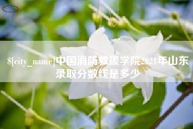 黔西南中国消防救援学院2021年山东录取分数线是多少