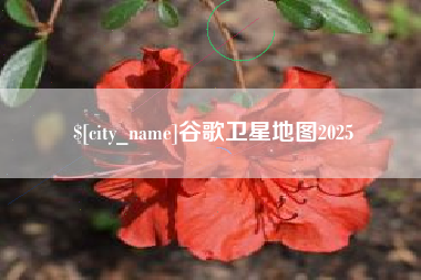 黔西南谷歌卫星地图2025