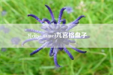 黔西南九宫格盘子