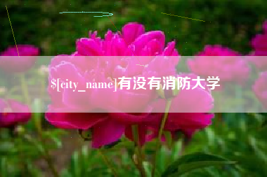 黔西南有没有消防大学