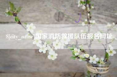 黔西南国家消防救援队伍报名网址