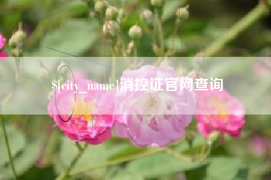黔西南消控证官网查询