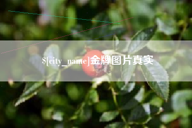 黔西南金牌图片真实