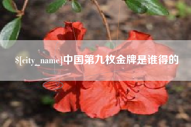 黔西南中国第九枚金牌是谁得的