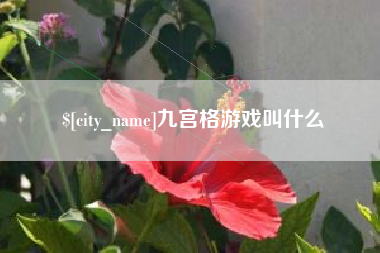 黔西南九宫格游戏叫什么