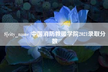 黔西南中国消防救援学院2021录取分数