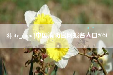 黔西南中国消防官网报名入口2024