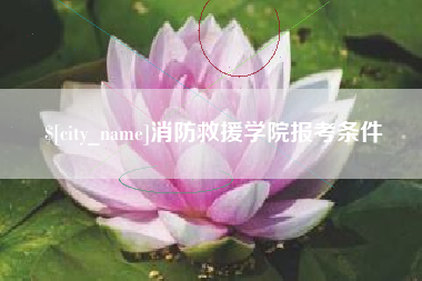 黔西南消防救援学院报考条件