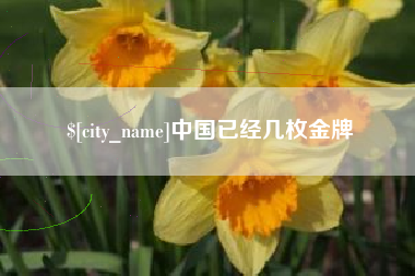 黔西南中国已经几枚金牌
