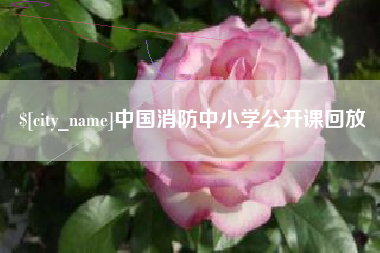 黔西南中国消防中小学公开课回放