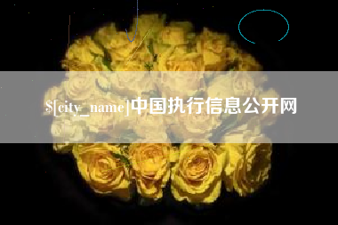 黔西南中国执行信息公开网