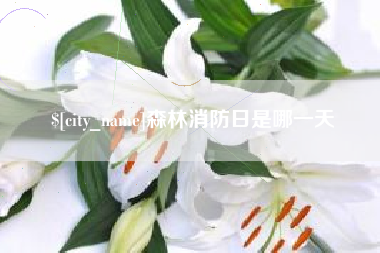黔西南森林消防日是哪一天