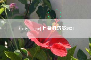 黔西南上海消防员2021
