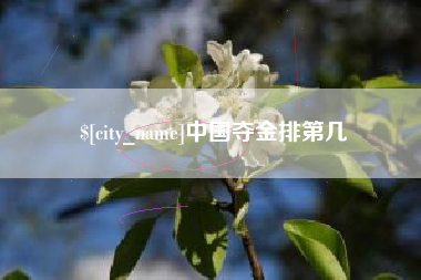 黔西南中国夺金排第几