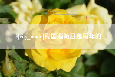 黔西南我国消防日是每年的