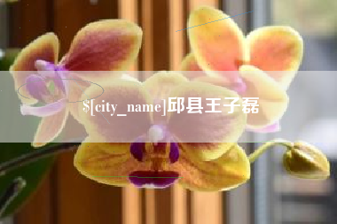 黔西南邱县王子磊