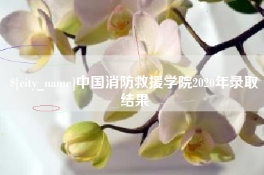 黔西南中国消防救援学院2020年录取结果