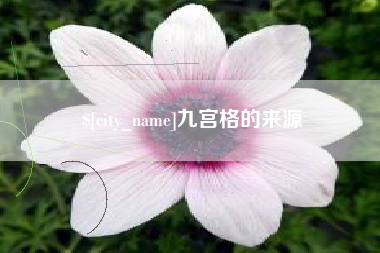 黔西南九宫格的来源
