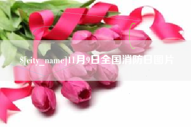 黔西南11月9日全国消防日图片