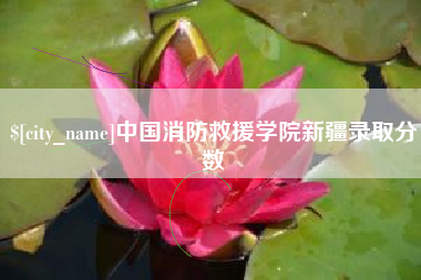 黔西南中国消防救援学院新疆录取分数